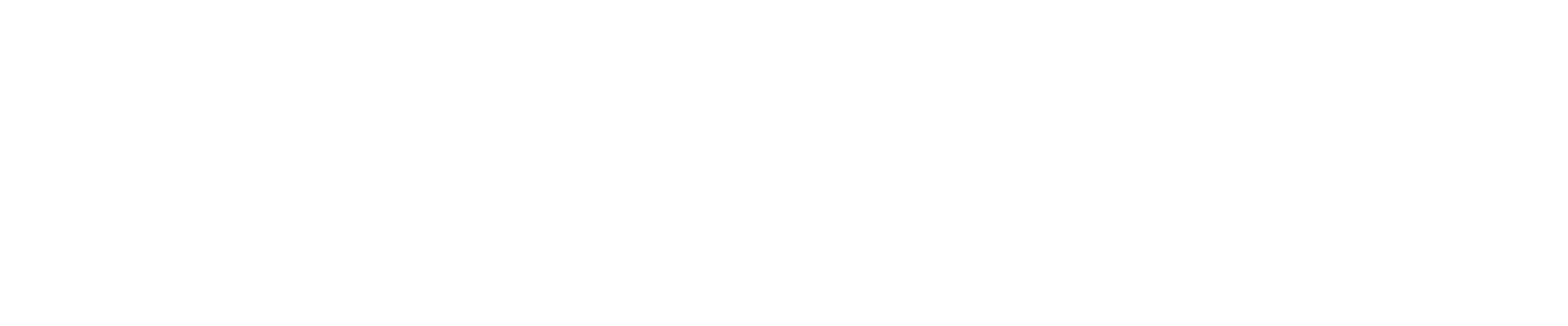 NDTV_logo.svg copy